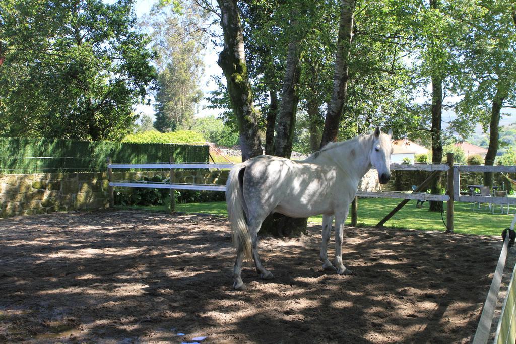 Willa Casa De Sao Silvestre Porreiras Zewnętrze zdjęcie